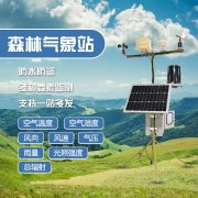 預防森林火災，保護森林生態系統