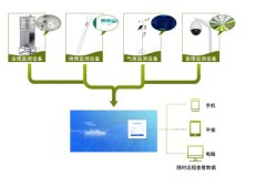 在番石榴的種植中，農業四情監測系統有何作用？